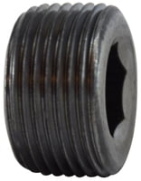 1/8 BLACK C/S HEX STEEL PLUG