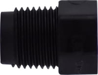 1/4 BLACK POLY HEX HEAD PLUG