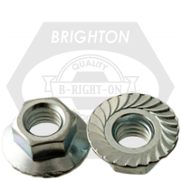 M10-1.5 FLANGE LOCKNUT Z