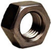 Hex Nuts