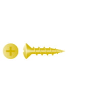888066 6 x 5/8, PH, Bright Brass