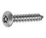 Stainless Security Screws